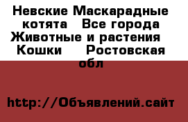 Невские Маскарадные котята - Все города Животные и растения » Кошки   . Ростовская обл.